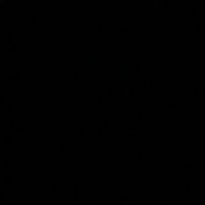 Meet your Posher, Laramie